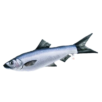 plyšák Gaby Sleď (Sardinka) plyšová Velikost: 60 cm