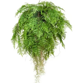 umělá květina Umělé květiny Závěsné aranžmá Kapradí s kořeny, 80cm