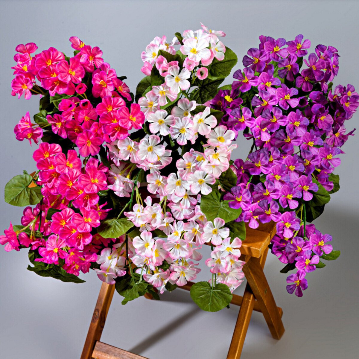 3 převislé muškáty Délka 45 cm. Pro balkónové truhlíky do délky 40 cm.