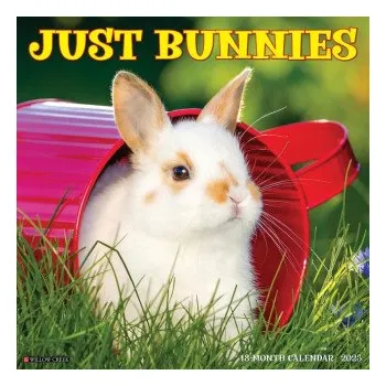 Kalendář Bunnies 2026 12 X 12 Wall Calendar (EN)