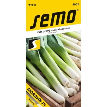 Semeno Pór MORAVÍN F1 2 g