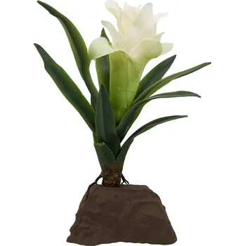 Teraristika Lucky Reptile bromelie rostlina malá bílá 20 cm