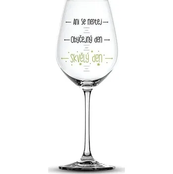 Sklenice Nekupto Vtipná sklenice na víno s potiskem Ani se neptej…
