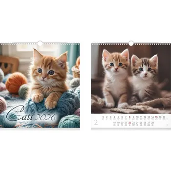 Kalendář MFP Nástěnný kalendář malý Cats 2026