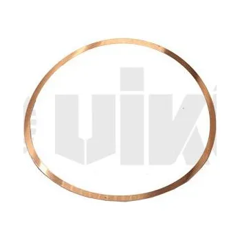 Těsnění válce, o-kroužek vika 11030167601