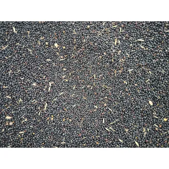 Krmivo pro ptáka Fauna Hradil Řepka Hmotnost: 10 kg