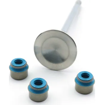 Těsnění pro motocykl 2.0L TFSI EA113 high performance valve seals BAR-TEK