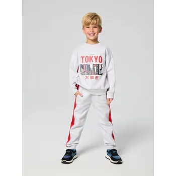 Sinsay - Kalhoty joggers - šedá - 885GE-09M - 885GE-09M-122