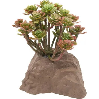 Teraristika Lucky Reptile kamenná rostlina 10 cm