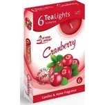 Santo čajová vonná svíčka 6ks Brusinka