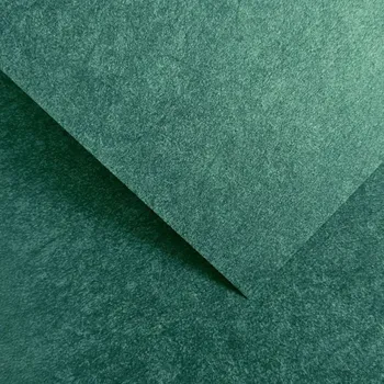 Vizitkový papír Papír na vizitky A4 200g 205405 Flash, zelený