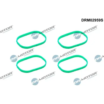 Těsnění motoru Sada těsnění, koleno sacího potrubí Dr.Motor Automotive DRM02959S