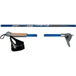 Skol STC CYBER, běžecké hole 165