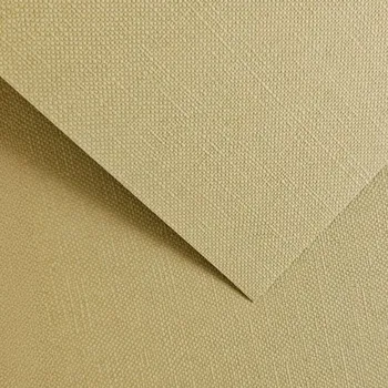 Speciální papír Papír na vizitky A4 250g 204703 Ryps, pískově žlutý