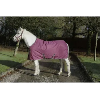 Jezdectví Deka stájová BUCAS Freedom 300g raspberry 125cm (KOLEKCE 2025/26)