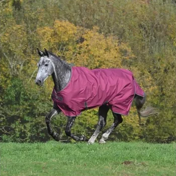 Vybavení pro koně Lehká výběhová deka BUCAS Freedom 0g raspberry 165cm (KOLEKCE 2025/26)