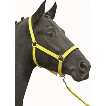 Ohlávka neonová podložená HKM, Cob - Šedozelená