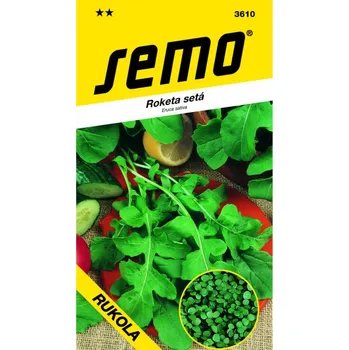 Semeno Roketa setá RUKOLA