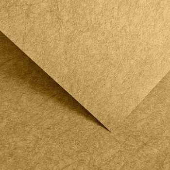 Vizitkový papír Papír na vizitky A4 200g 205403 Flash, zlatý