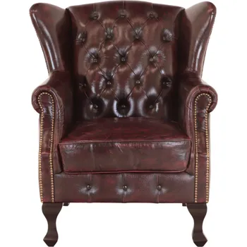 Křeslo Křeslo Aberdeen z pravé hovězí kůže