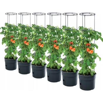 Květináč Květináč plast černý Prosperplast 29,5 cm x 29,5 x 115,2 cm