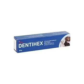 Dentihex 2mg/g pasta pro psy a kočky 20g Livisto