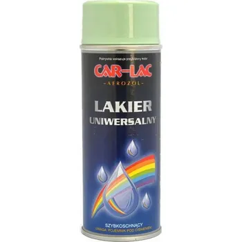 Barva ve spreji 6019 RAL ZELENÝ CAR LAKOVÝ SPREJ 400ML BARVA LAK