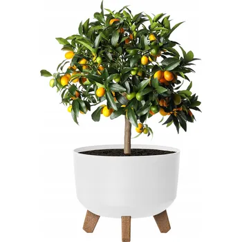 Květináč Květináč 19 x 23,8 cm plast bílý