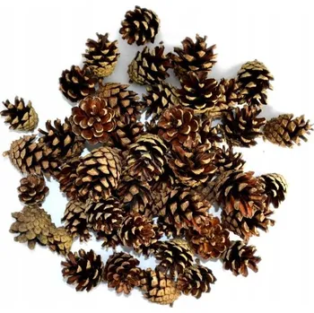 Vánoční dekorace 200 x Šiška borovice 3-7 cm Vánoční Koule Vánoční dekorace