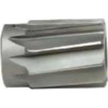 Výstružník Výstružník nástrčný 31,00mm H7 HSS