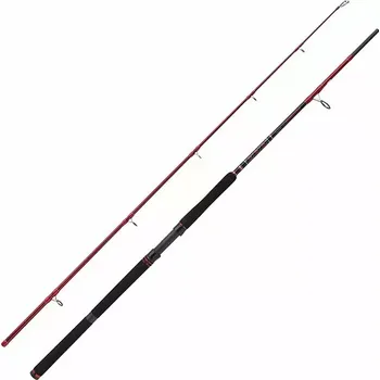 PENN Squadron III Catfish Allround 3,00 m 100-300 g