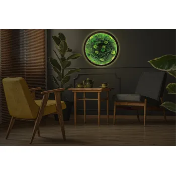 Obraz Li-Go "Mechové kopečky" světelný obraz 12V/230V 70 cm varianta napájení svítidla: 12V s externím zdrojem (s přivodním kabelem), Provedení rámu, povrchu: dub světlý