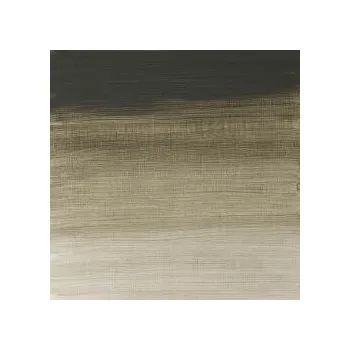 Výtvárné potřeby Olejová barva W&N Artists 37ml – 217 Davy's Gray
