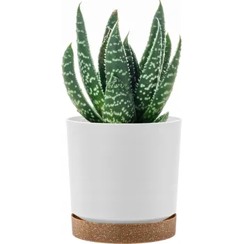 Květináč Plastový Květináč Prosperplast DPOD350 kulatý bílý