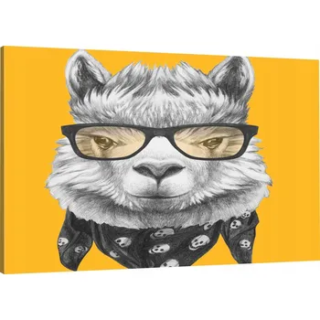 Obraz OBRAZ NA PLÁTNĚ LAMA V BRÝLÍCH 100x70 800 WZ