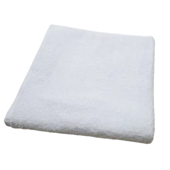 Ručník Dante Hotelový ručníček bez bordury 30 x 50 cm bílý