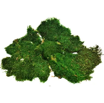 Plochý mech nízký - přírodní zelená 100g