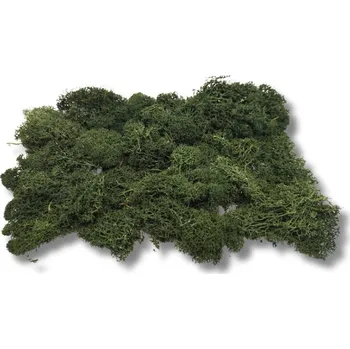 Lišejník tmavý - 100g