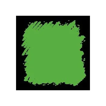 Pastel Conté á Paris – 008 Light Green