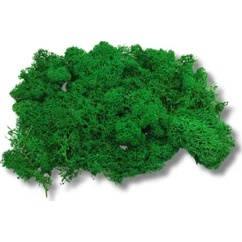 Lišejník smaragdově zelený - 100g