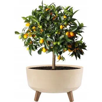 Květináč Květináč plast béžový Prosperplast 38 cm x 38 cm x 20,7 cm