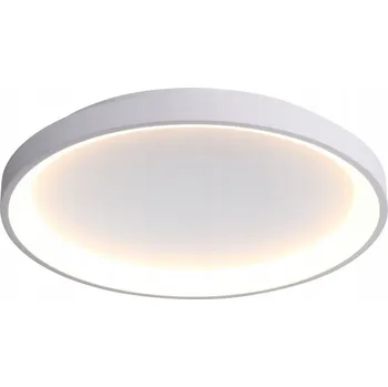Stropní Svítidlo RADEN 50W LED bílý 58 cm Italux 3000K - 6500K CLN-3151-M-WH
