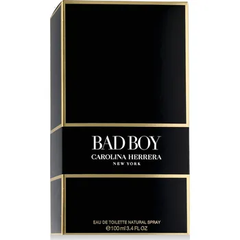 Pánský parfém CAROLINA HERRERA Bad Boy toaletní voda pro muže 100 ml