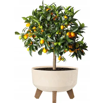 Květináč Béžový plast Květináč Prosperplast 24 cm x 23 x 15,5 cm