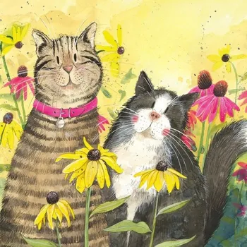 Menší přání se dvěma kočkami - design Alex Clark