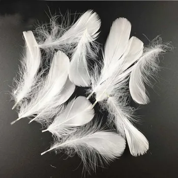 Svatební dekorace Dekorační pírka (bílé) 100ks