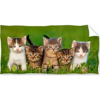 CARBOTEX Osuška Koťátka v trávě 70x140 cm