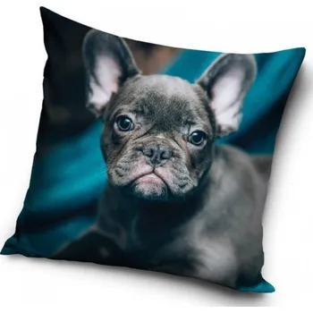 Bytový textil POVLAK NA POLŠTÁŘEK BULDOČEK KOUKÁM SE KOUKÁM