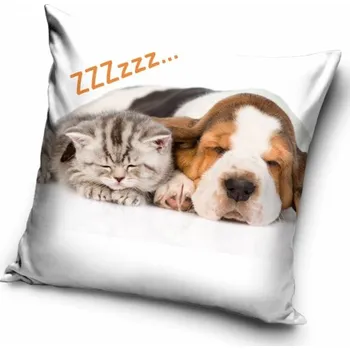Povlak na polštářek POVLAK NA POLŠTÁŘEK PEJSEK A KOČIČKA