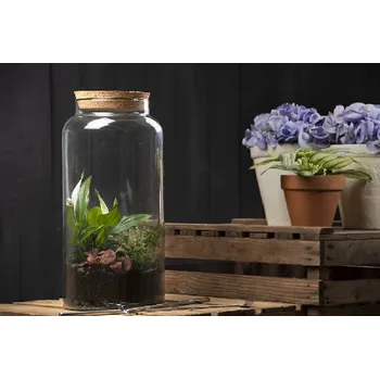 Zahrada Aerárium z RECYKLOVANÉHO SKLA s korkovým uzávěrem, 18,5 x 18,5 x 41 cm|Esschert Design